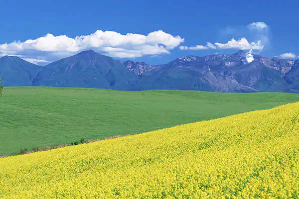 ทิวทัศน์