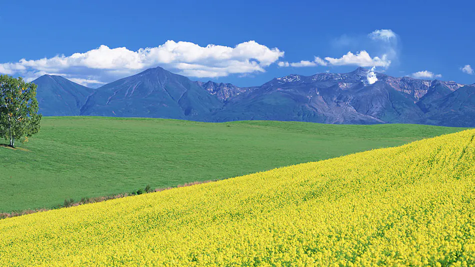 Kyukamura Shikotsuko