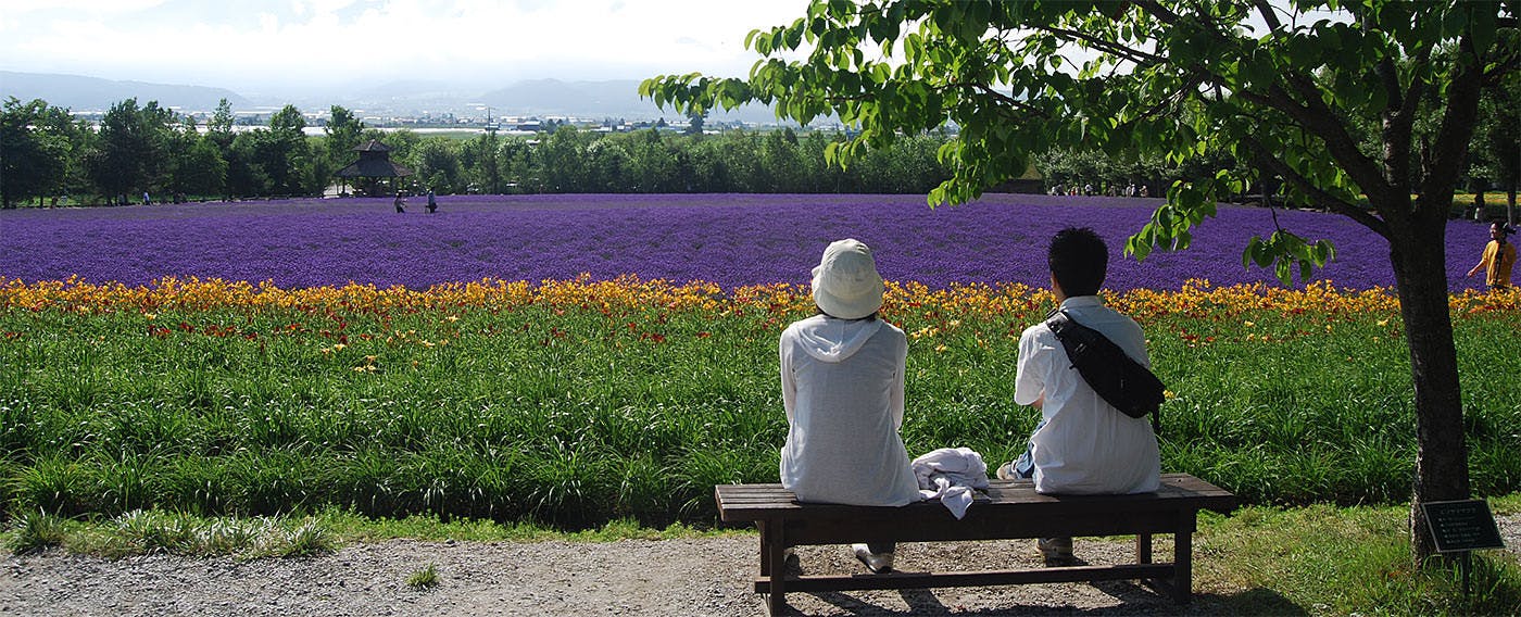 美しい景色や花々を見ることができます