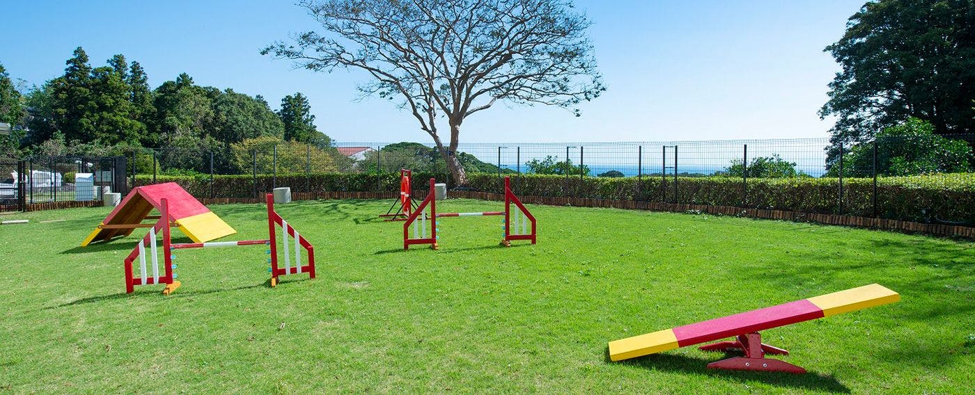 21年最新 伊豆周辺でペットと泊まれる宿ランキング 一休 Com