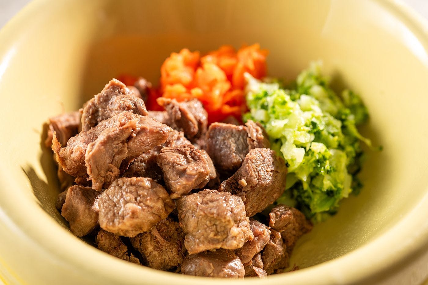 わんわんパラダイス プレミア 伊豆高原