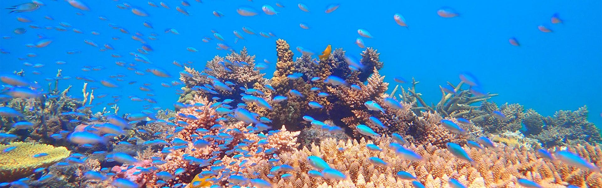 ทัศนียภาพโดยรอบ