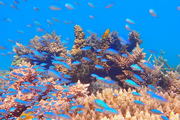 ทัศนียภาพโดยรอบ