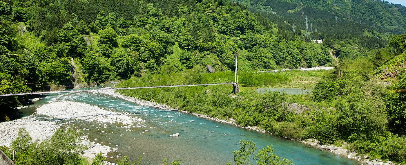 黒部川