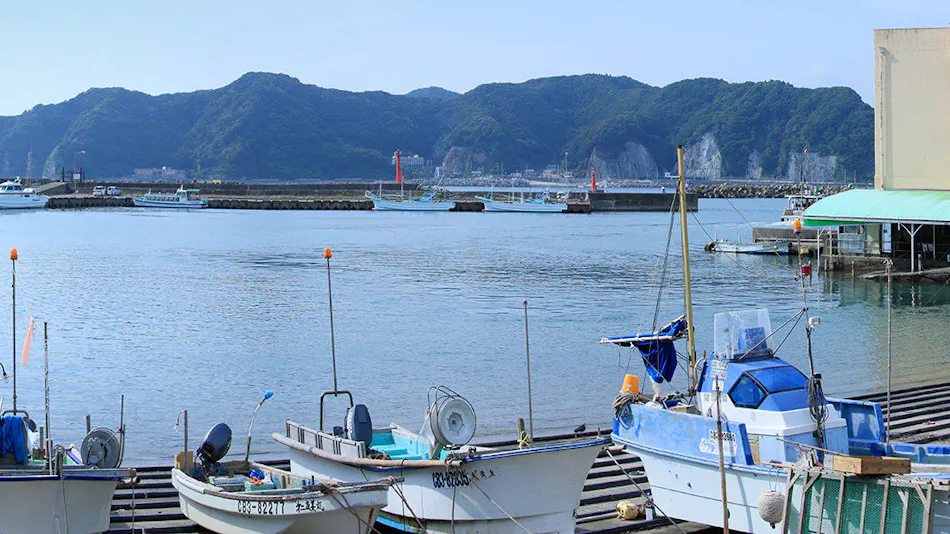 Seafood Wholesaler Inn Kuroshio