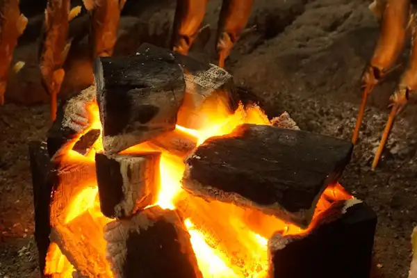 ตัวอย่างอาหาร