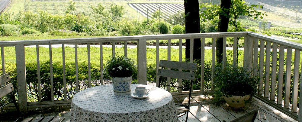 Country Inn Orchard House
