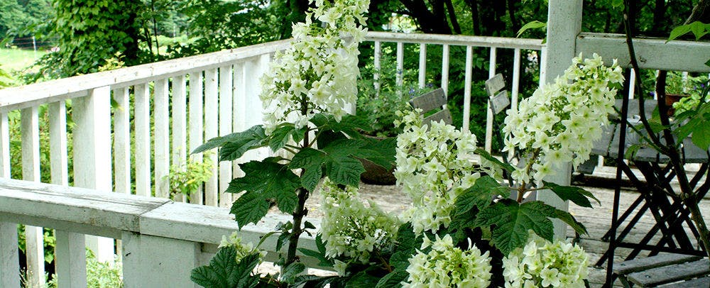Country Inn Orchard House