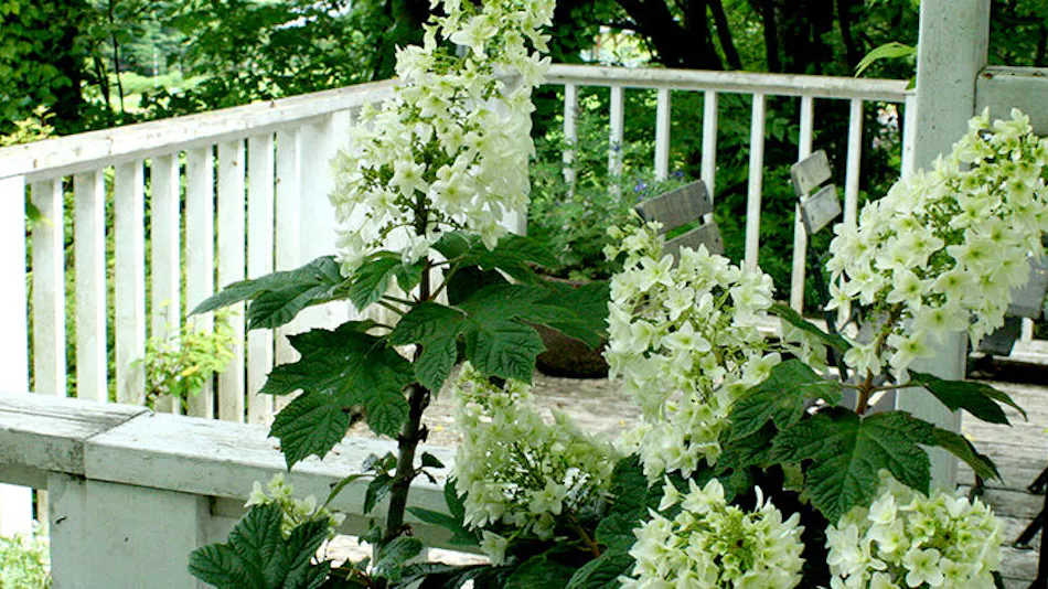 Country Inn Orchard House