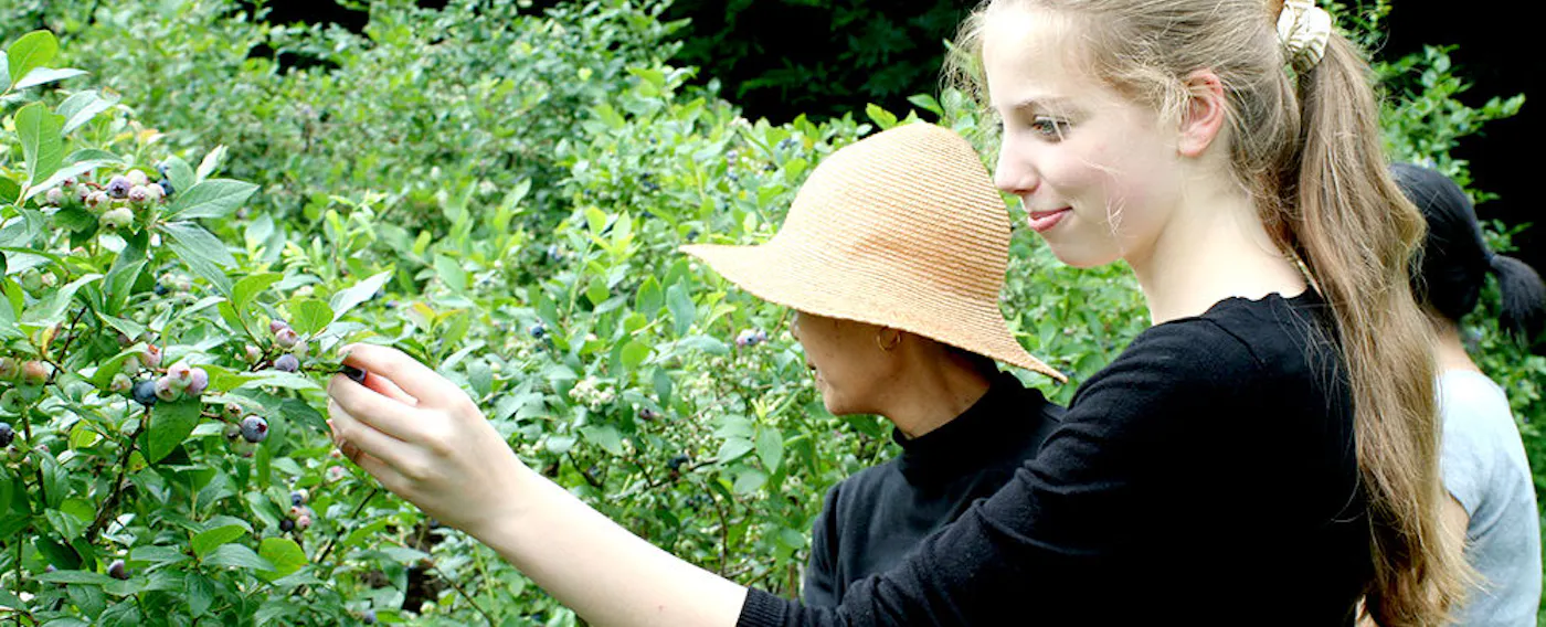 ナチュラルガーデン