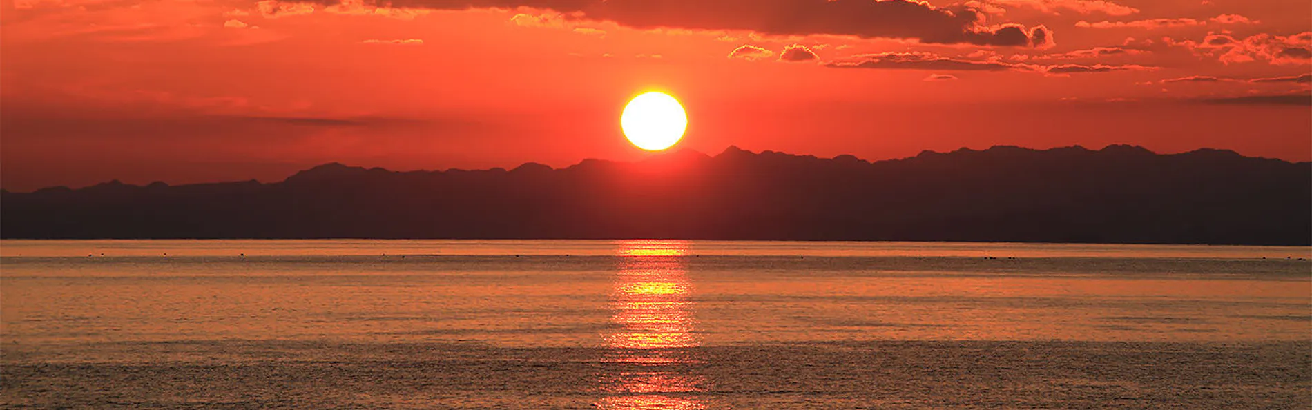 湯元館 ニュー浜島