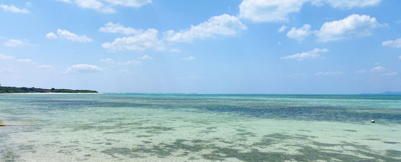 朝　「西桟橋」にて