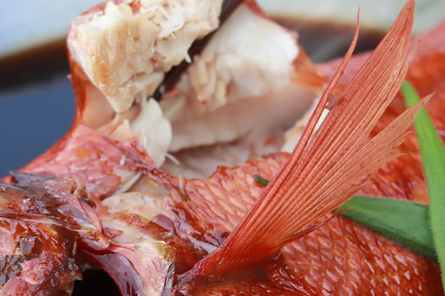 ตัวอย่างอาหาร