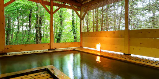 南網張ありね温泉 ゆこたんの森