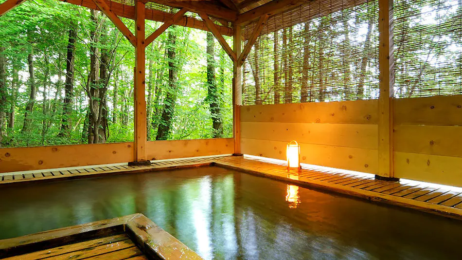 Minamiamihari Arine Onsen Yukotan no Mori