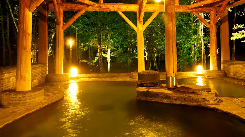 Minamiamihari Arine Onsen Yukotan no Mori