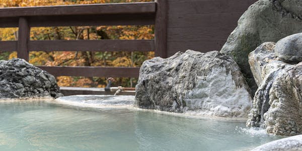 22年最新 白骨温泉 お宿つるや 旧 つるや旅館 を見た人におすすめの客室10室以下の隠れ宿ランキング 一休 Com 22年最新 白骨温泉 お宿つるや 旧 つるや旅館 を見た人におすすめの客室10室以下の隠れ宿ランキング 一休 Com