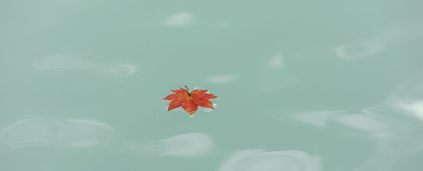 น้ำพุร้อนและอ่างอาบน้ำ