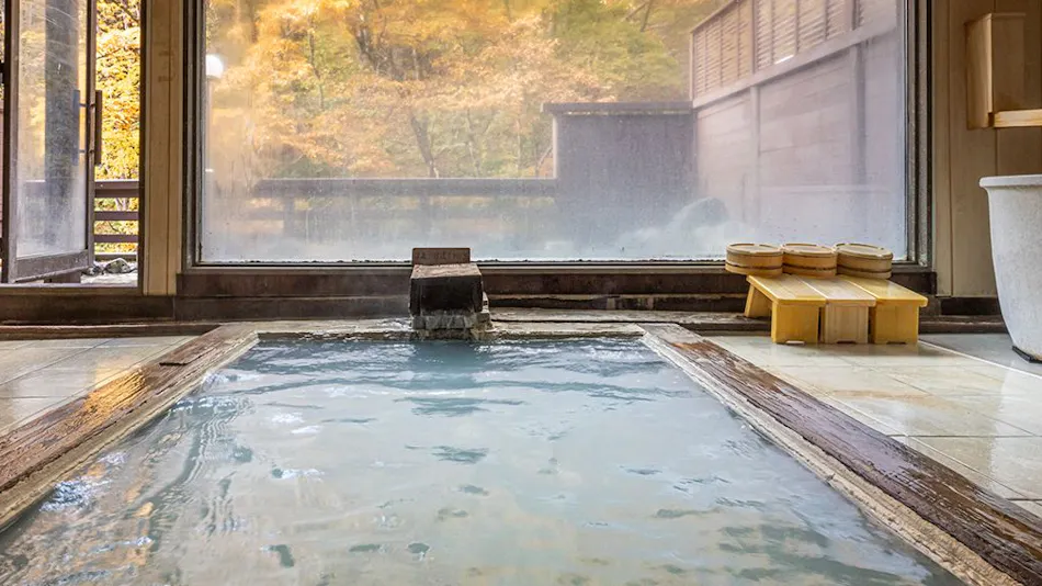 Shirahone Onsen Oyado Tsuruya