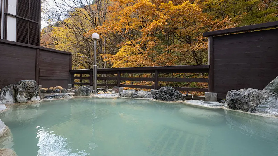 Shirahone Onsen Oyado Tsuruya