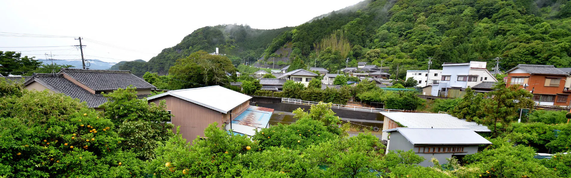 うまし宿 漁亭 美乃島