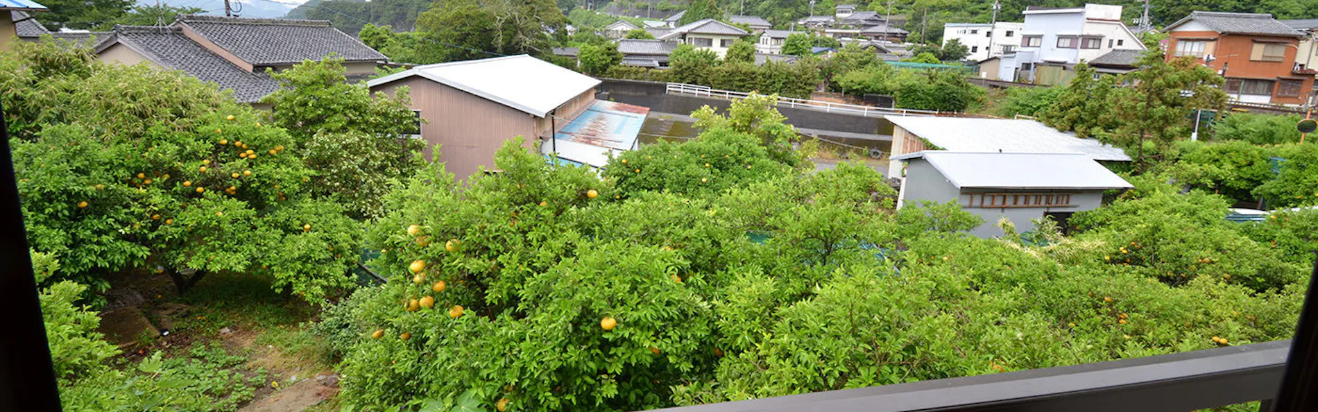 うまし宿 漁亭 美乃島