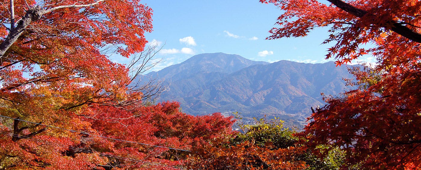 夜がらす山荘 長多喜