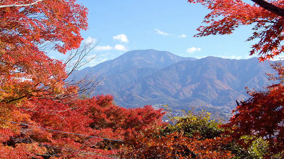 Yogarasu Mountain Lodge Nagataki