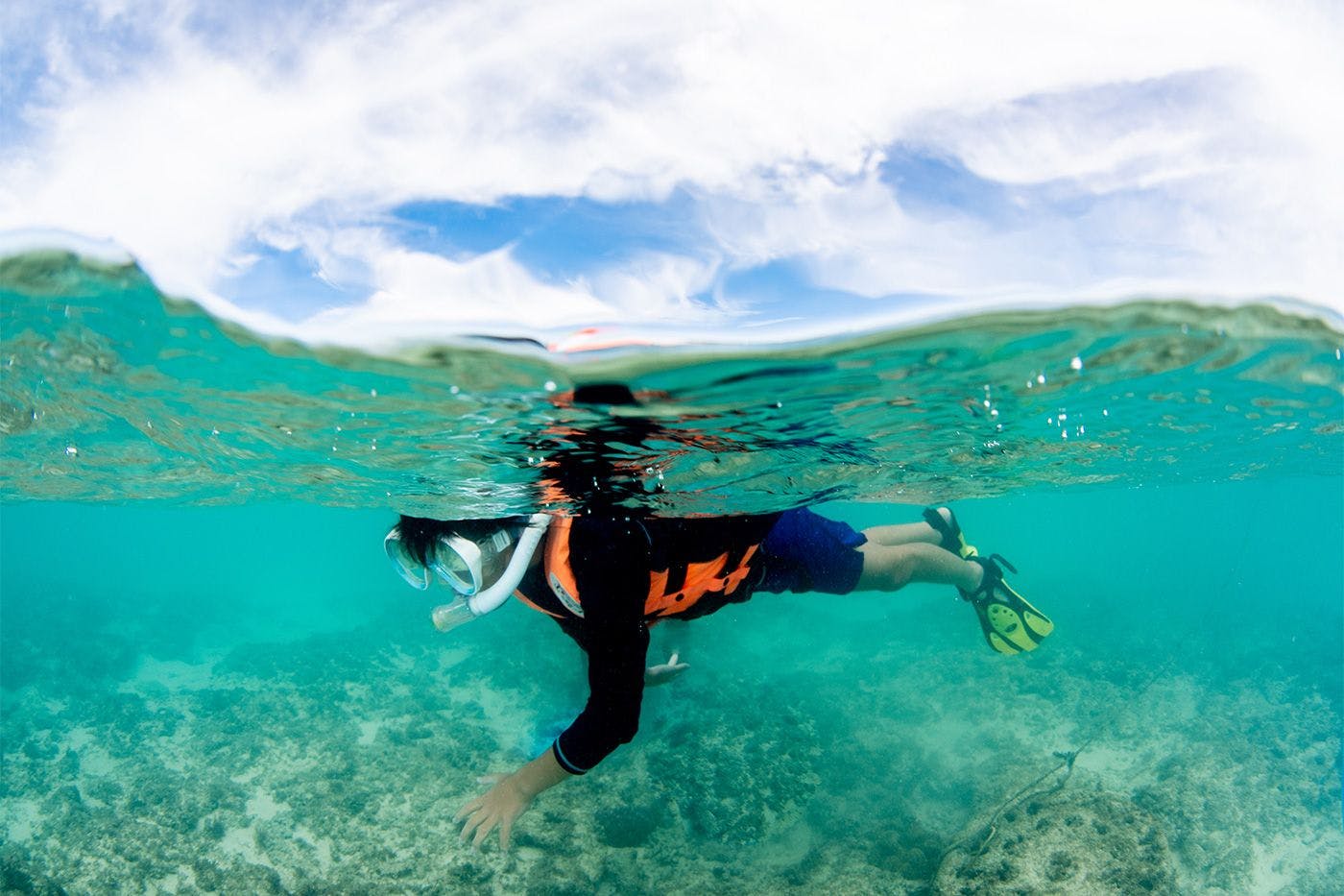 アクティビティ