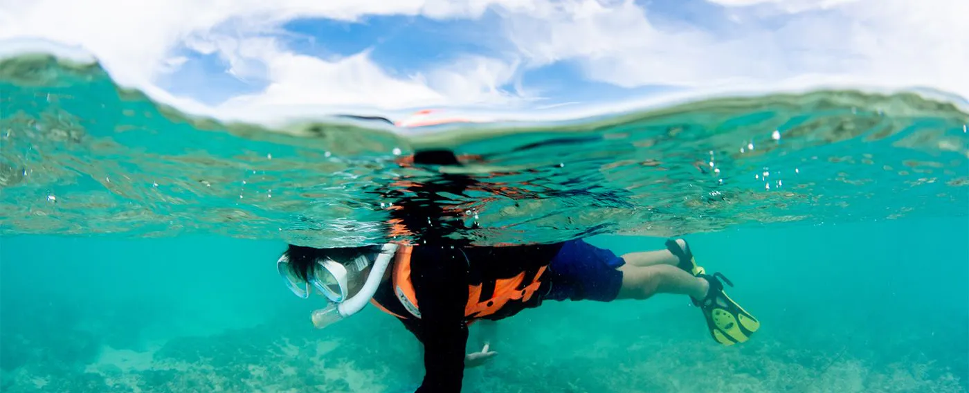 アクティビティ