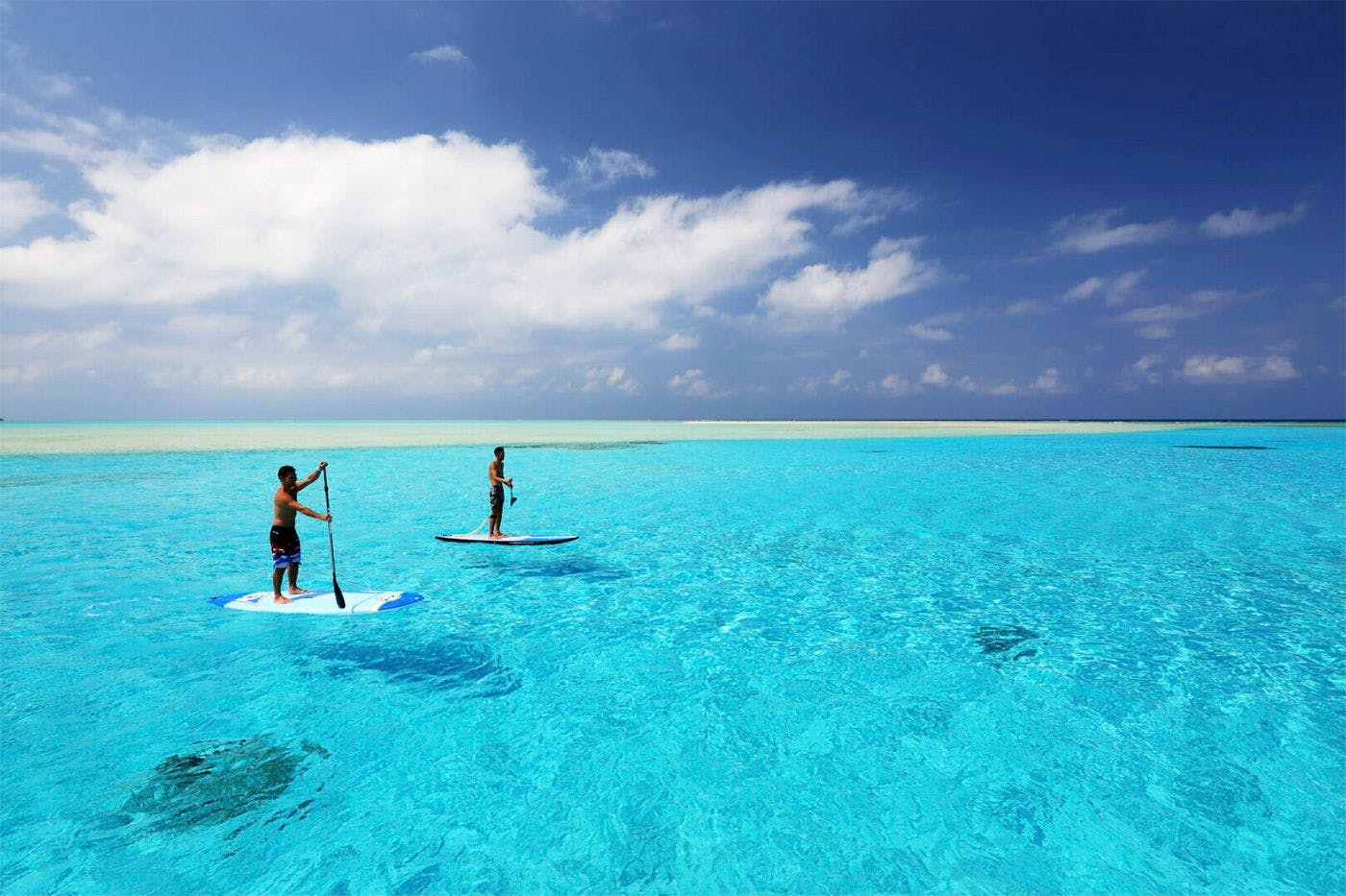 アクティビティ