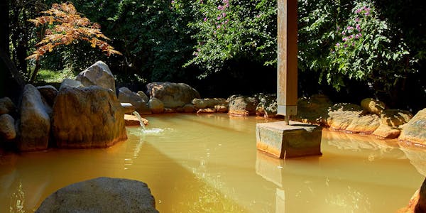 22年最新 ヘルシーランドたまて箱温泉でいま最も売れている宿ランキング 一休 Com 22年最新 ヘルシーランドたまて箱温泉でいま最も売れている宿ランキング 一休 Com
