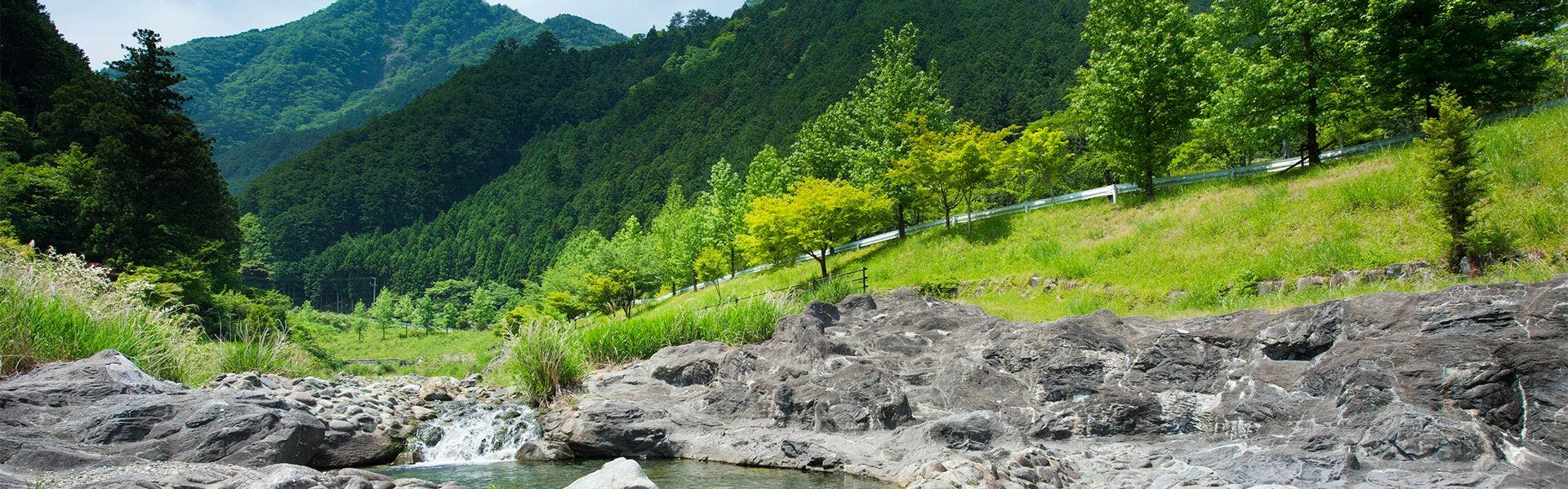わんわんパラダイス 松阪（旧：松阪わんわんパラダイス 森のホテルスメール）