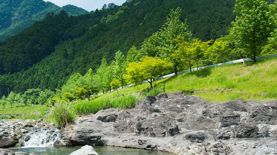 Wan Wan Paradise Matsusaka