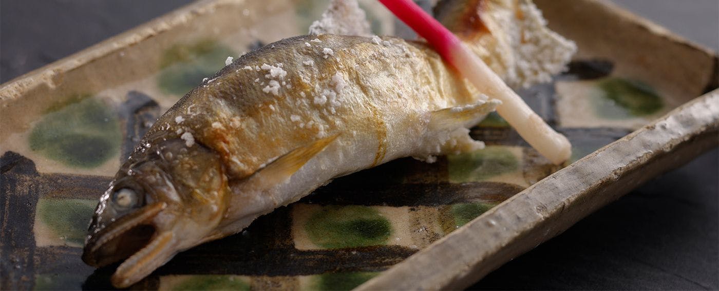わんわんパラダイス 松阪（旧：松阪わんわんパラダイス 森のホテルスメール）