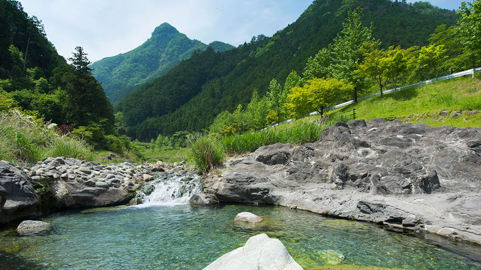 Wan Wan Paradise Matsusaka