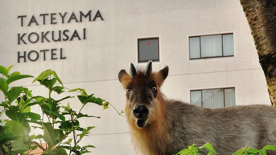 Tateyama International Hotel