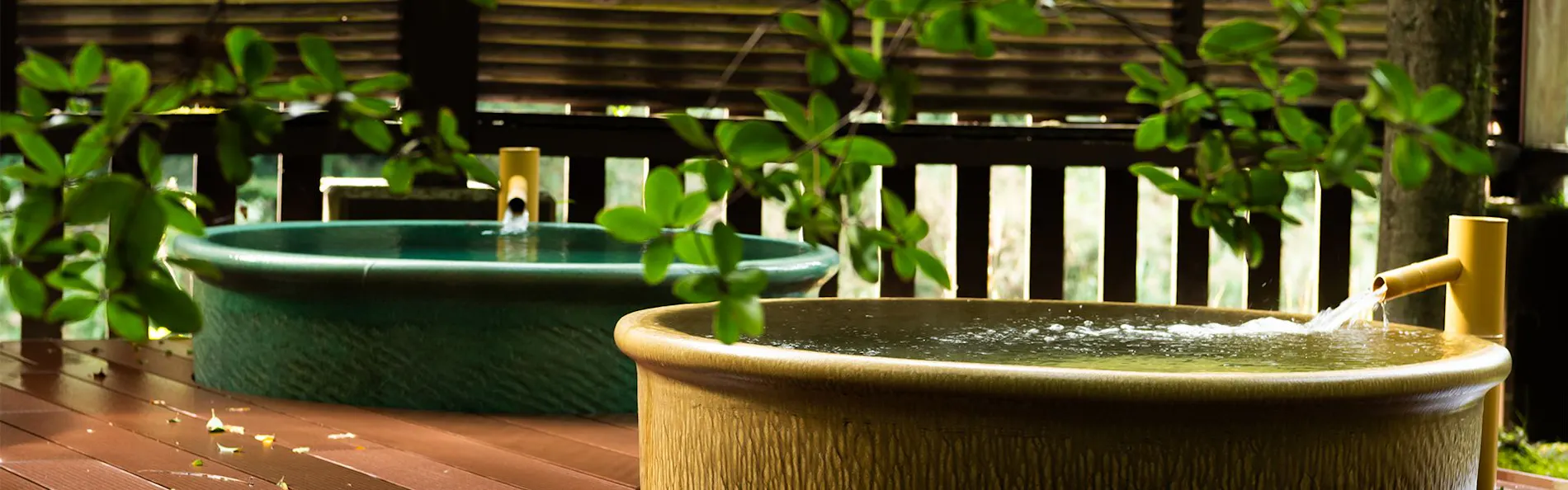 つえたて温泉ひぜんや