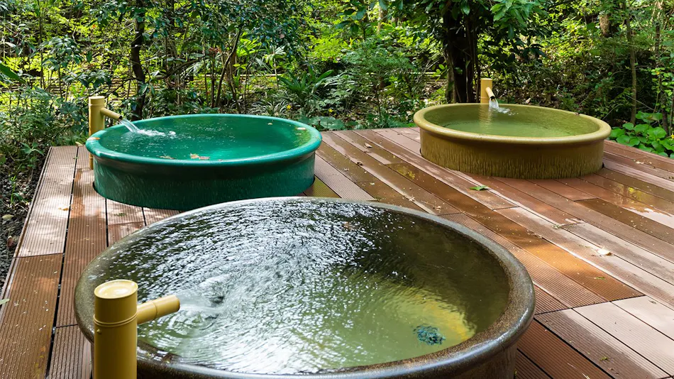 Tsue-tate Onsen Hizenya