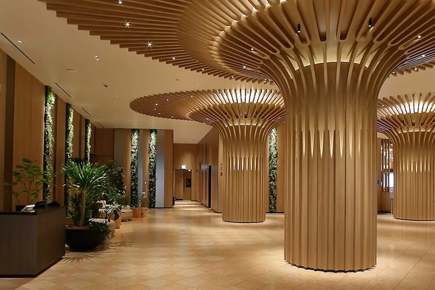 รูปลักษณ์ภายนอก