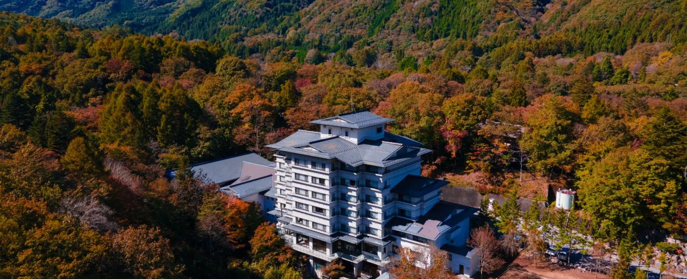 外觀