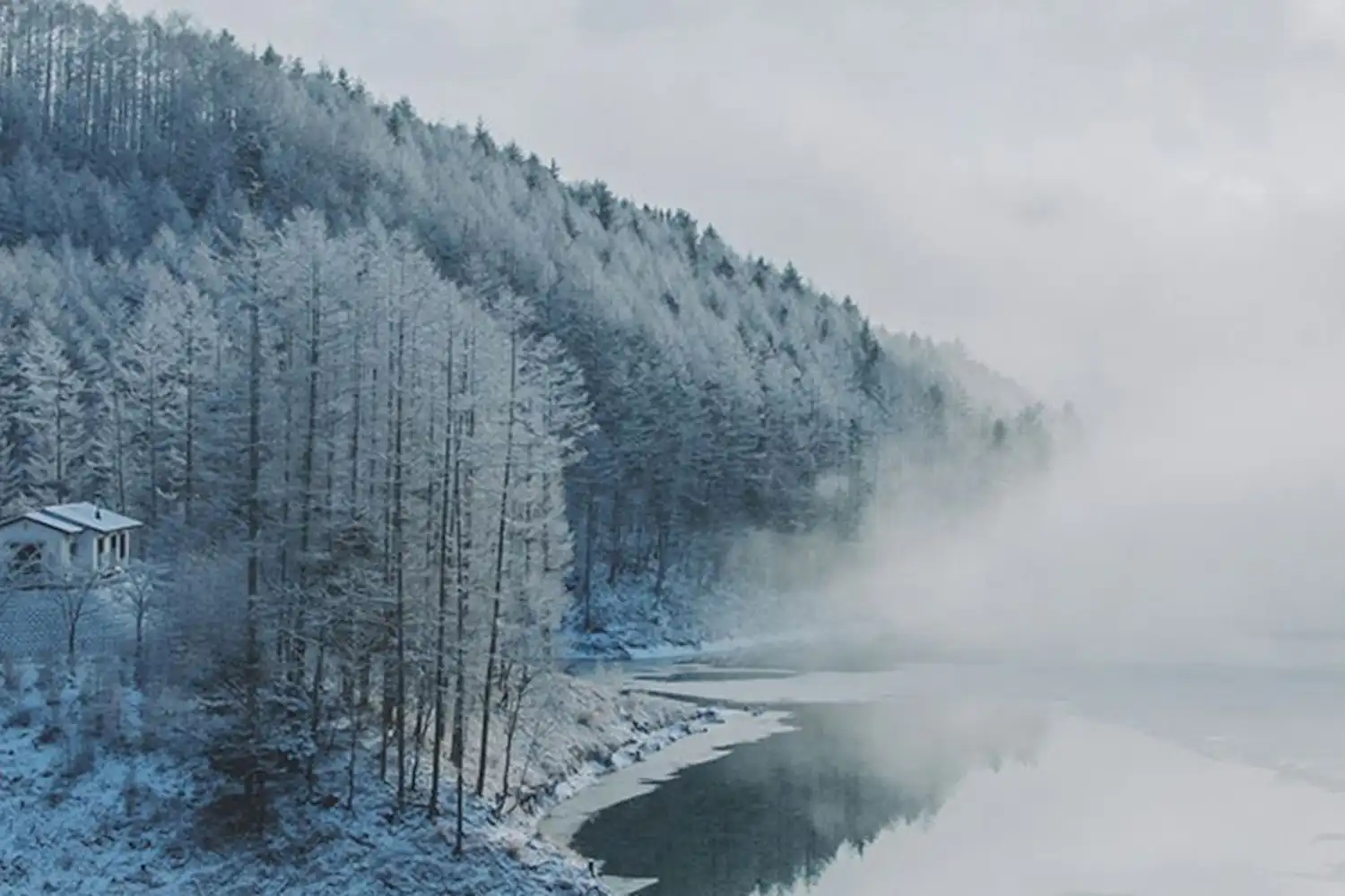 รูปลักษณ์ภายนอก