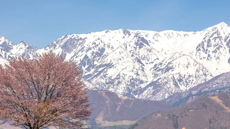 B&D Hakuba Iwatake