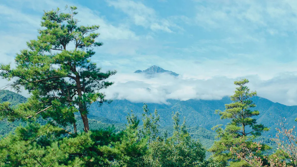 BLANC YATSUGATAKE