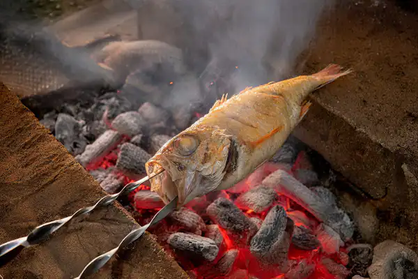 Ikan nodoguro (blackthroat seaperch)