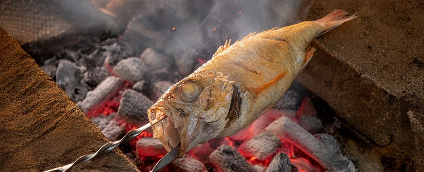 Ikan nodoguro (blackthroat seaperch)