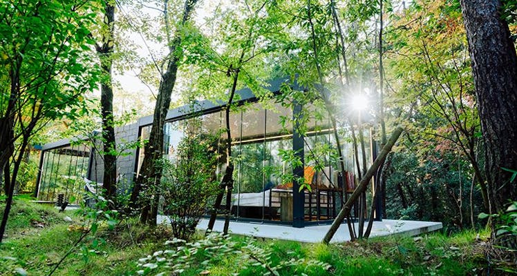 湯布院温泉 由布院 のペットokの お食事の評価が高いホテル 旅館 宿泊予約は 一休 Com 湯布院温泉 由布院 のペットokの お食事の評価が高いホテル 旅館 宿泊予約は 一休 Com