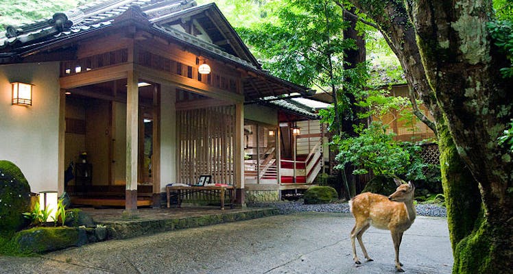 奈良公園に近いホテル 旅館 5選 宿泊予約は 一休 Com 奈良公園に近いホテル 旅館 5選 宿泊予約は 一休 Com