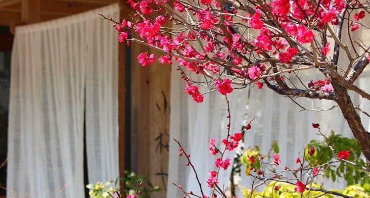 栃木の赤ちゃんと旅行おすすめホテル 旅館 宿泊予約は 一休 Com 栃木の赤ちゃんと旅行おすすめホテル 旅館 宿泊予約は 一休 Com