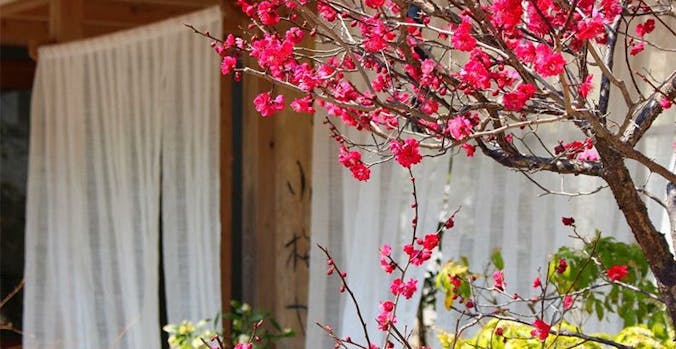 北関東 赤ちゃんと旅行 宿泊予約は 一休 Com 北関東 赤ちゃんと旅行 宿泊予約は 一休 Com